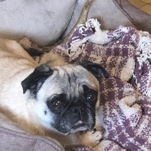 Meet your Posher, Braden